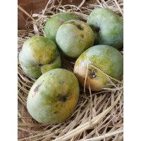 Oriental Ishad Mango Pulp - 850gms